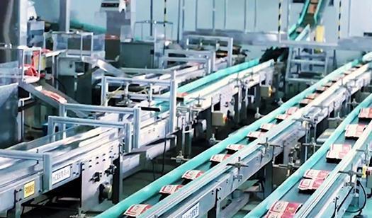 安徽零食巨頭 科技創(chuàng)新驅(qū)動下的商業(yè)輝煌