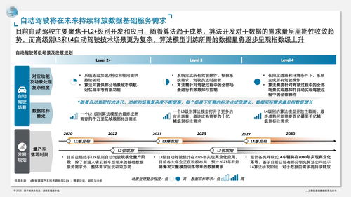 德勤咨詢 人工智能基礎數據服務白皮書——賦能智能時代的軟件開發新范式